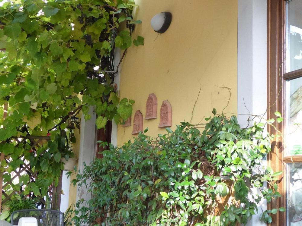 B&B Il Casale Di Nanni Lucca Eksteriør bilde